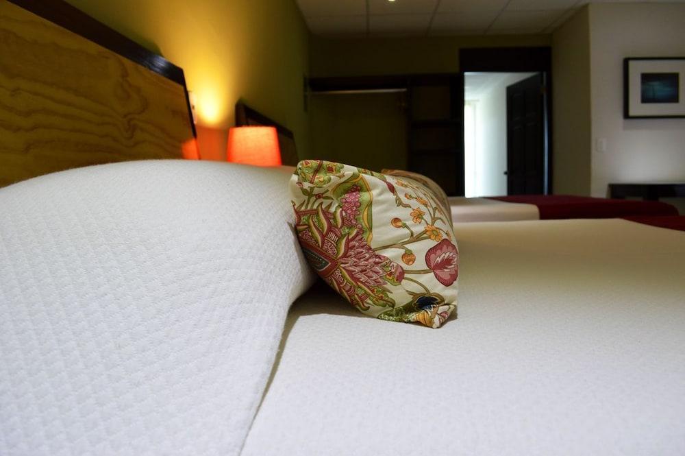 Santa Maria Del Cabo Otel San José del Cabo Dış mekan fotoğraf